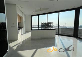 زعفرانیه برج باغ ۲۴۵ متری ۳۴ متر تراس