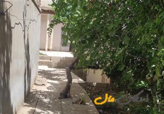 منزل ویلایی در مرکز شهر باغ بهادران ۱۹۹ متر
